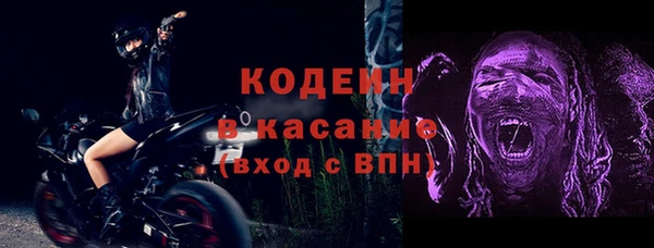 соль ск Кукмор