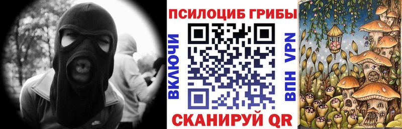 Галлюциногенные грибы Psilocybe  Купить где  Хасавюрт 