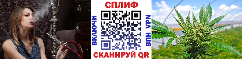 Купить  Хасавюрт  МАРИХУАНА Amnesia 